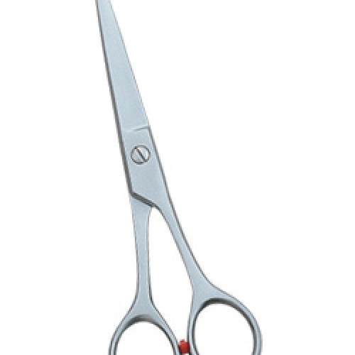 Barber and dreessing scissor