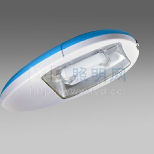 Lvd induction lamp - street light