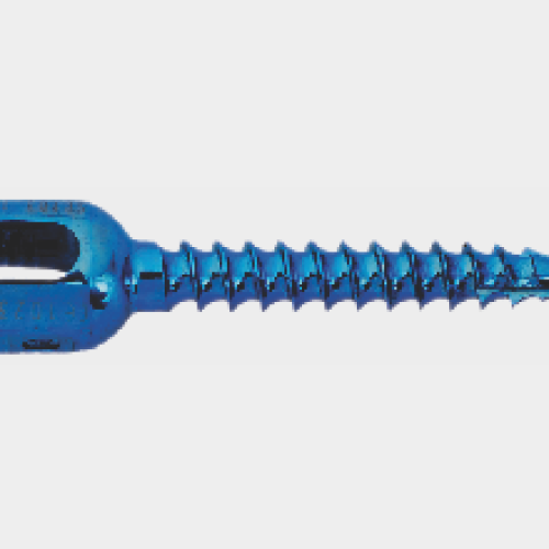 Cervi-link spine systems