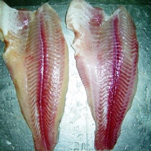 Pangasius fillet untrimmed