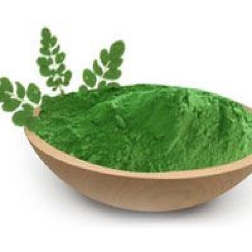 Moringa oliefera extract (10:1)