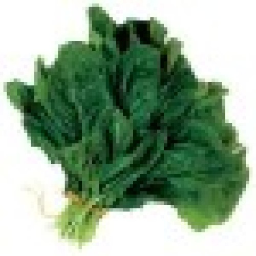 Vietnam high-quality healthy greenfresh spinach
