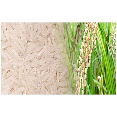 Basmati rice