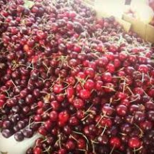 Fresh cherries