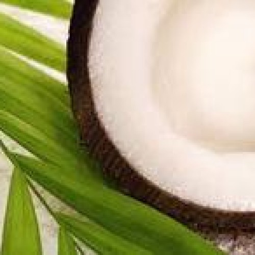 2015 brazilian fresh coconut with good quality and best price