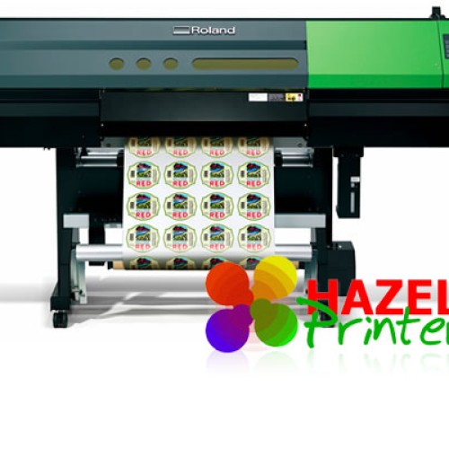 Roland versauv lec 300 printer cutter