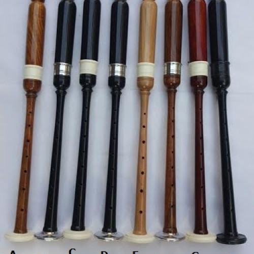 Practice chanter sheesham wood in black finish plain fitting