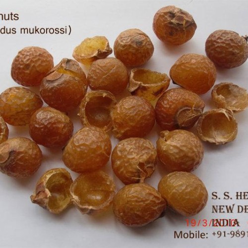 Soap nuts , soapnut shell