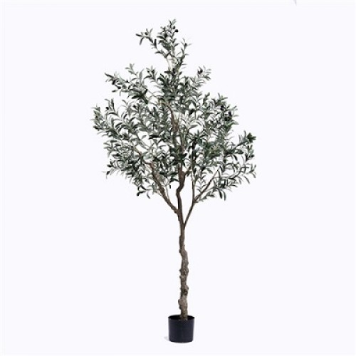 Plastic olive tree