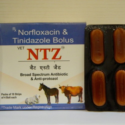 Norfloxacin tinidazole bolus
