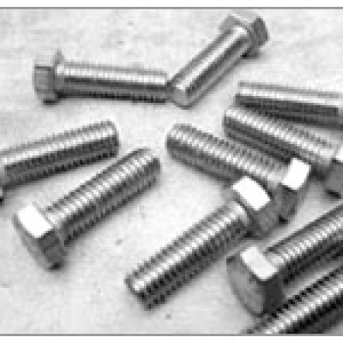 Stainless steel bolt