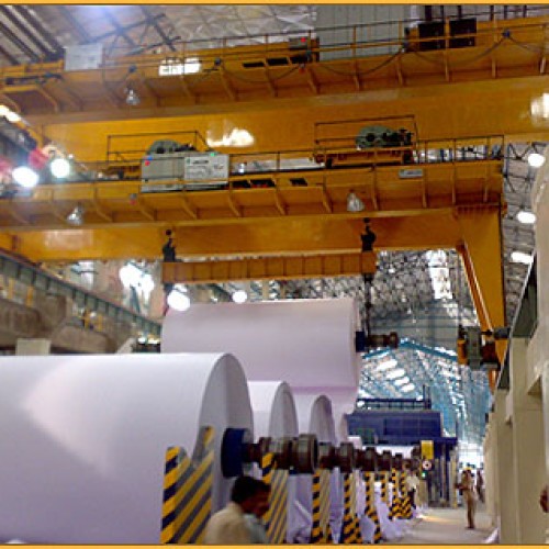 Multiple trolley cranes
