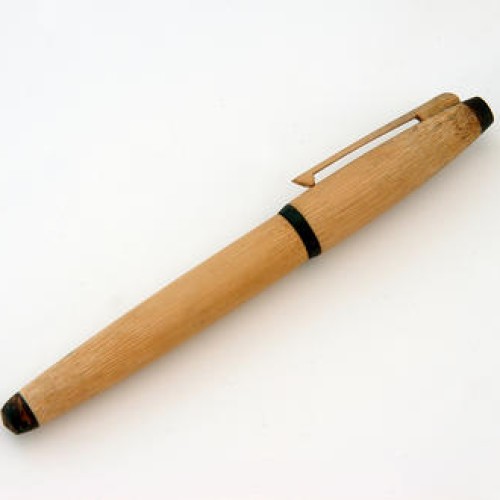 Bamboo Pen