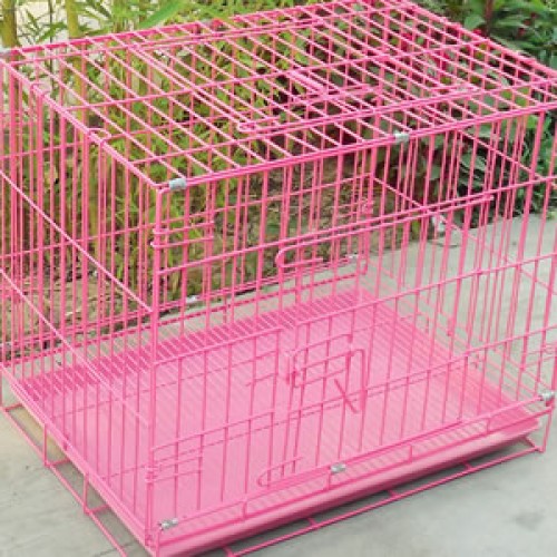 Pigeon cage
