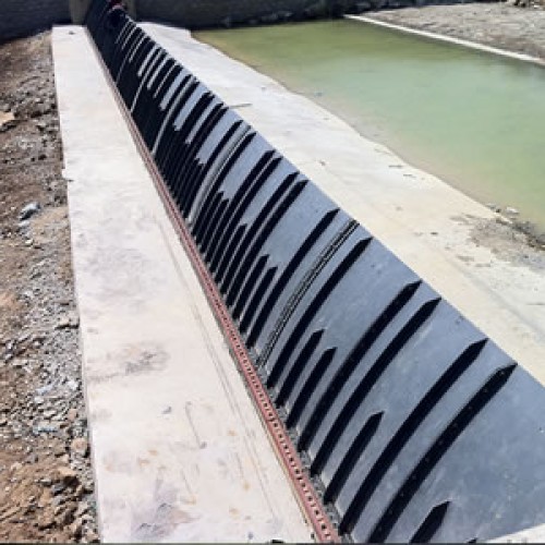 Shield type rubber dam