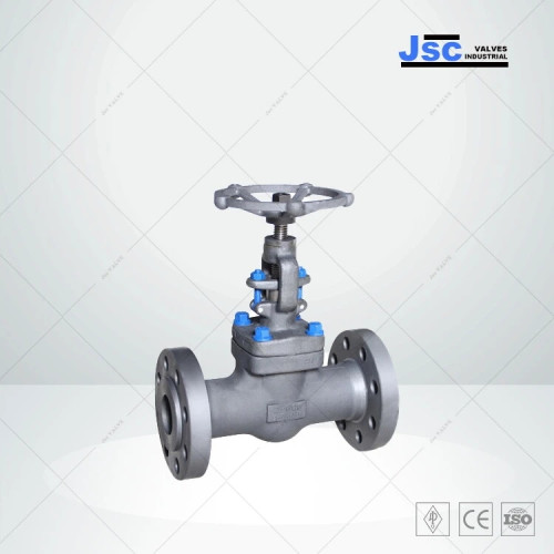 Integral flanged gate valve