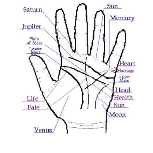 Astrology, face reading and palmistry