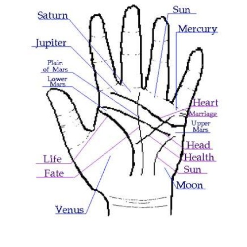 Astrology, Face Reading and Palmistry