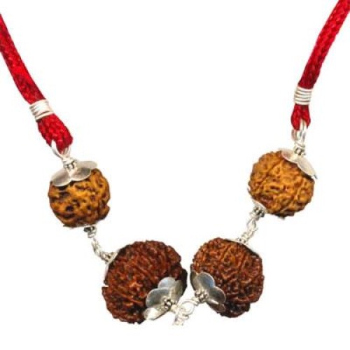 Rudraksha