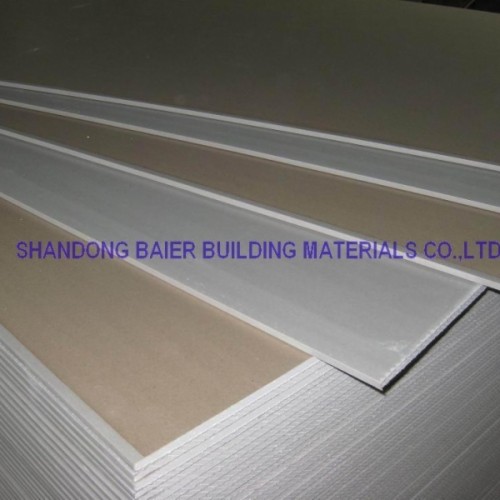 Gypsum board