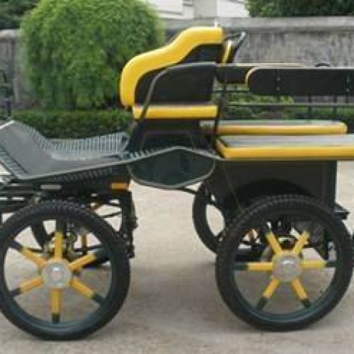 Marathon training horse carriage bth-02a