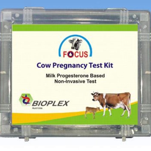 Cow pregnancy test kit