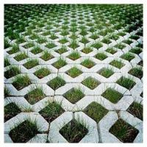 Grass paver