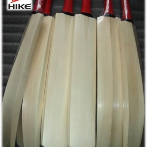 Hike cricket bat.