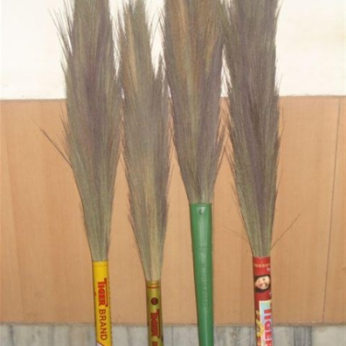 Grass broom grass