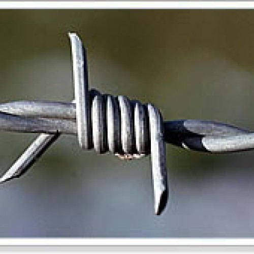 Barbed wire