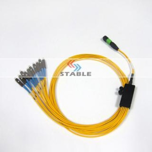 Ribbon /bundle 1X10 MPO-MU patch cord