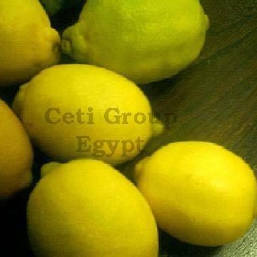 Ceti lemon offer