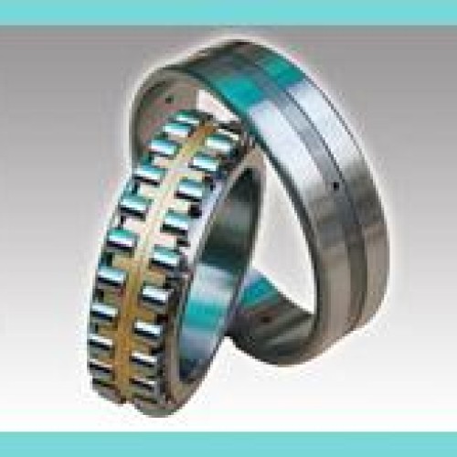 Double row cylindrical roller bearings