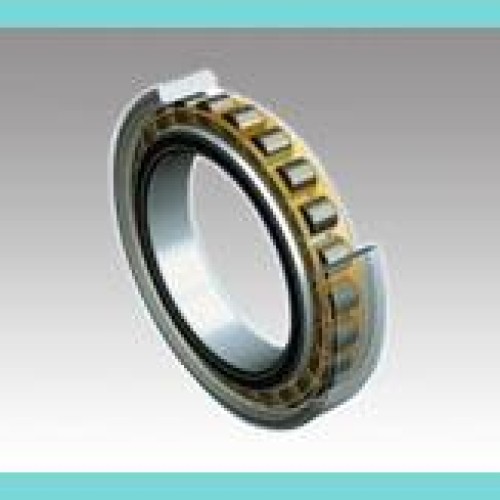 Single row full complement cylindrical roller bearing