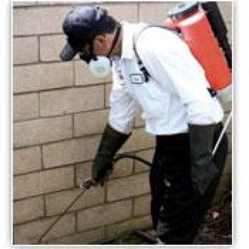 Pest control services