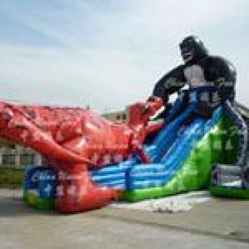 Inflatable slide/sliding inflatables/inflatable sliding:ifs065