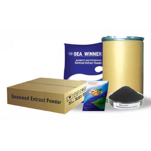 Seaweed extract powder