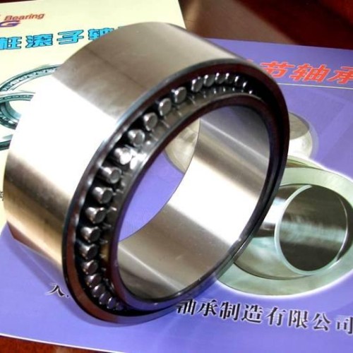 The carb toroidal roller bearing