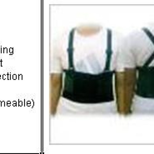 Work belt,  lumbar support