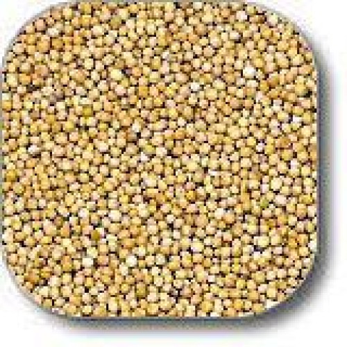 Mustard seeds