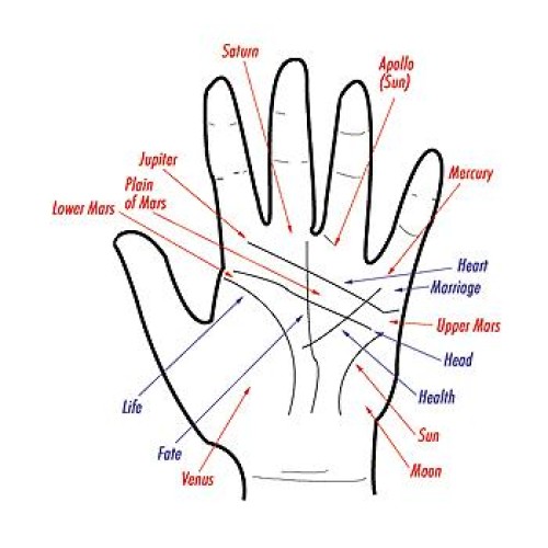 Palmistry