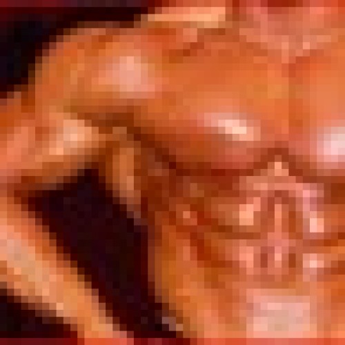 Seroids,testosterone enanthate,nandrolone decanoate