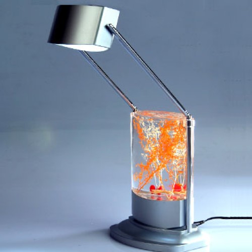 Dream led table lamp