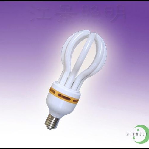 Lotus energy saving light/lamp