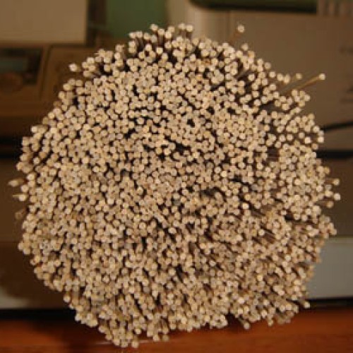 Incense power
