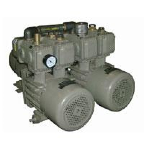 Dry vacuum pumps twin head
