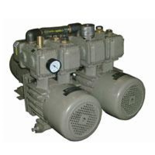 Dry vacuum pumps twin head