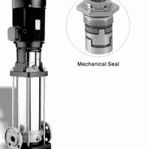 Multistage centrifugal pumps (dl16)