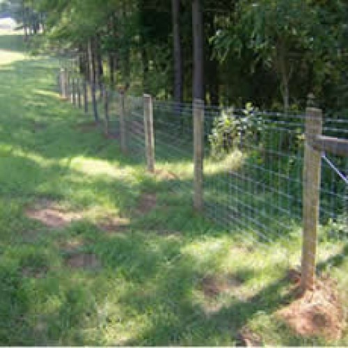Field fence