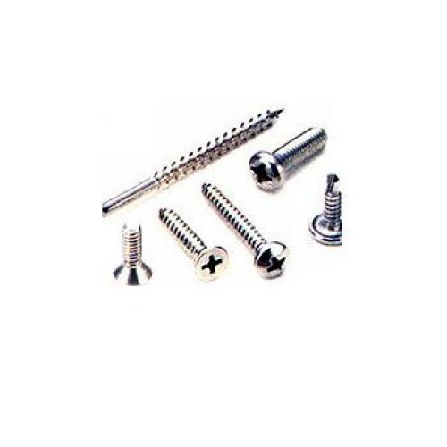 Stainless steel screws